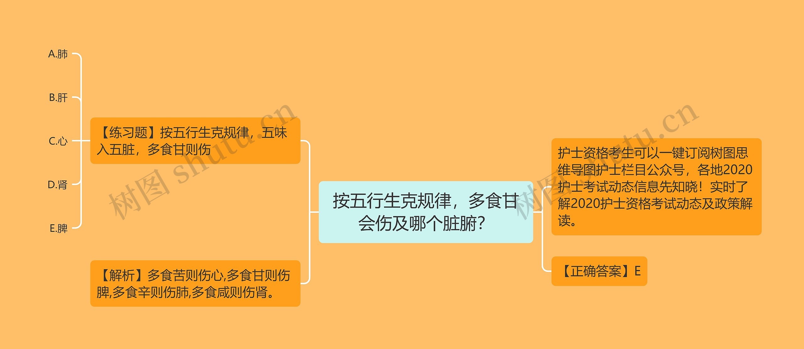 按五行生克规律，多食甘会伤及哪个脏腑？思维导图