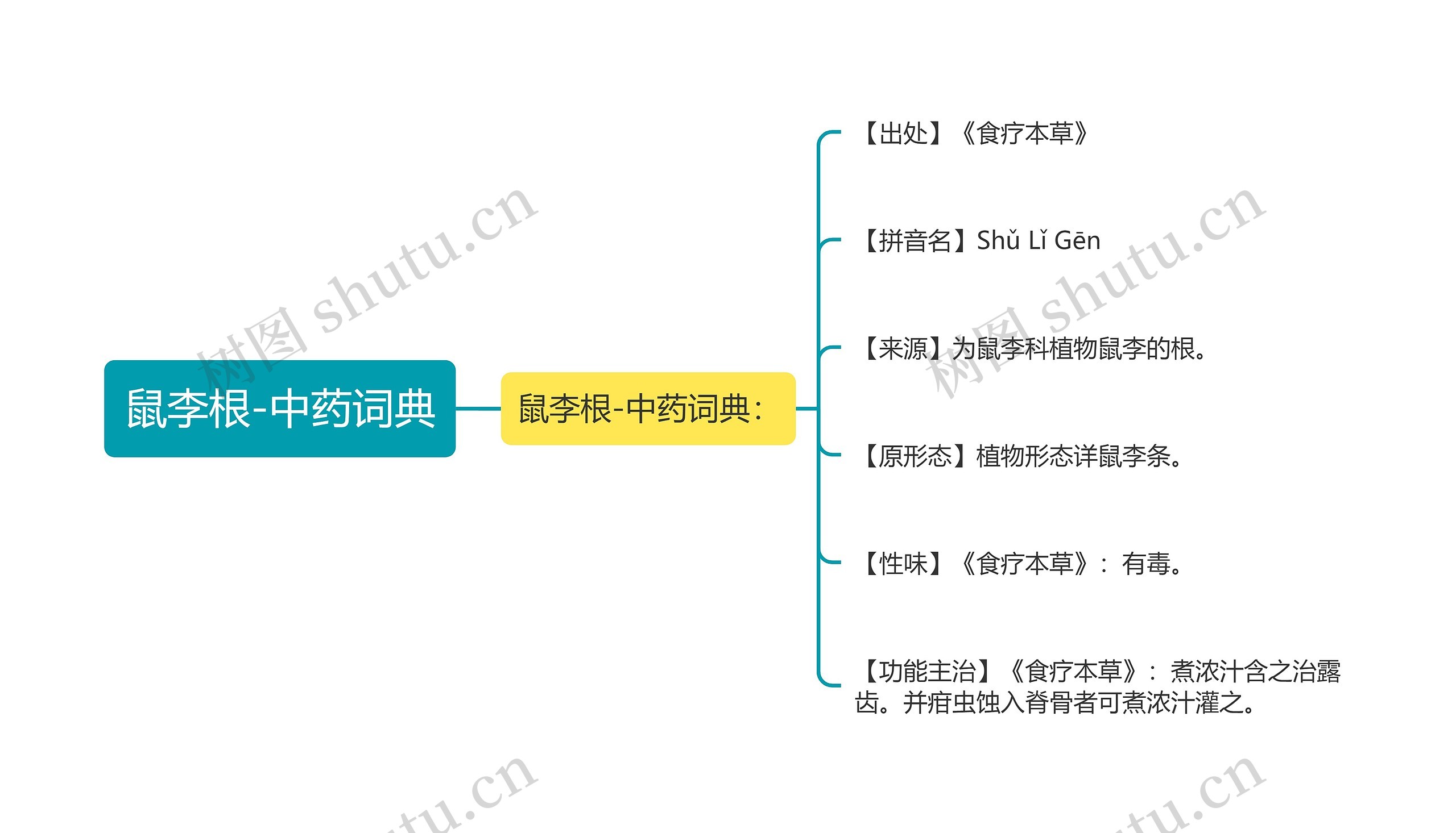 鼠李根-中药词典 鼠李根-中药词典