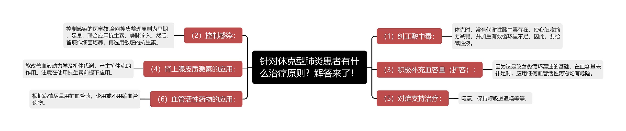 针对休克型肺炎患者有什么治疗原则？解答来了！思维导图