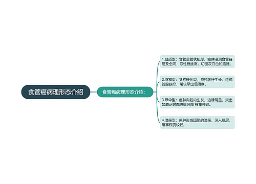 食管癌病理形态介绍