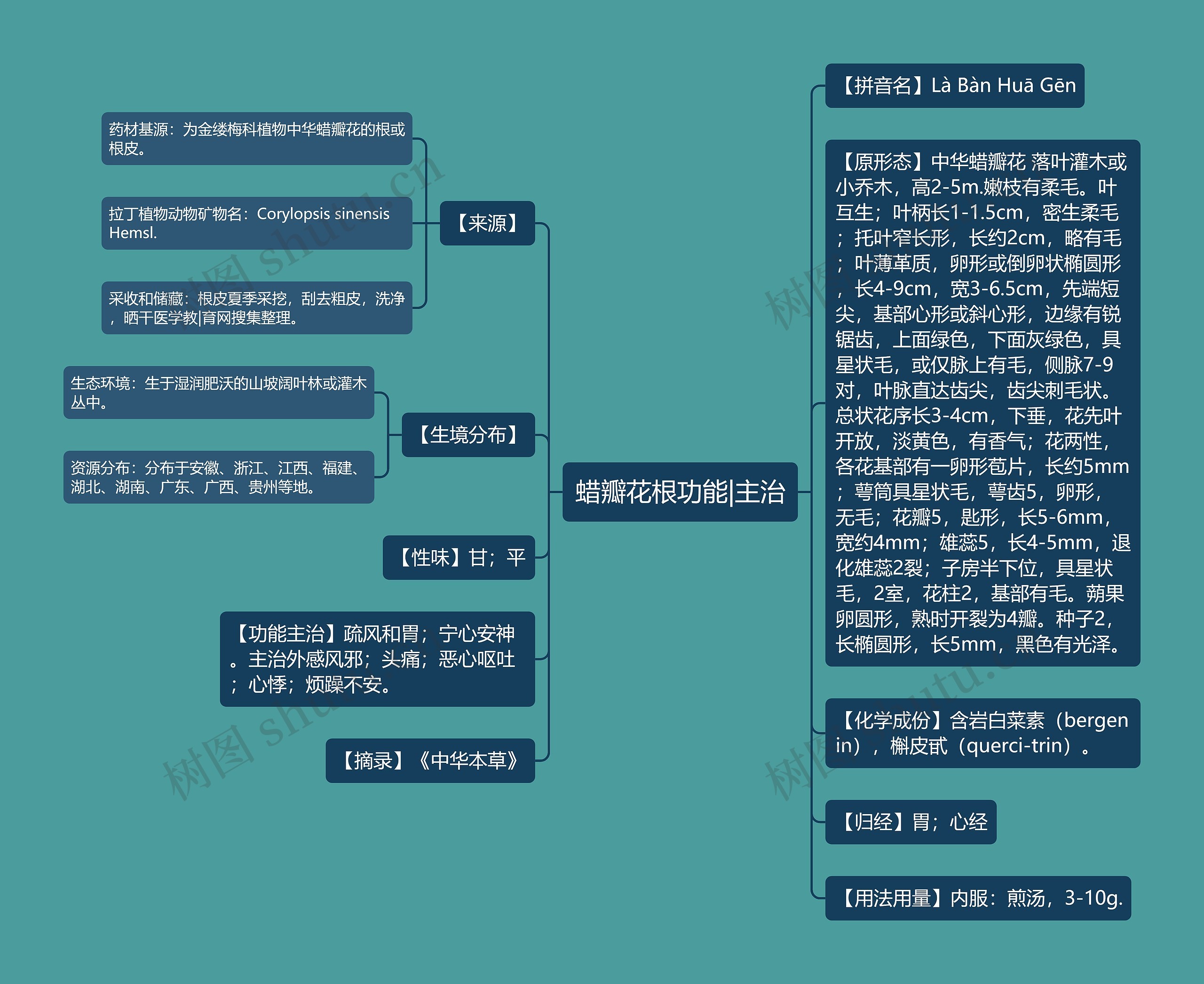 蜡瓣花根功能|主治思维导图