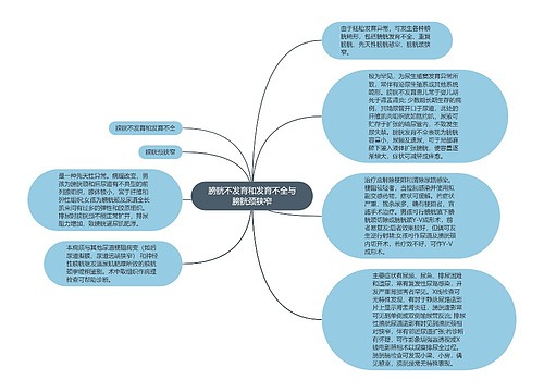 膀胱不发育和发育不全与膀胱颈狭窄