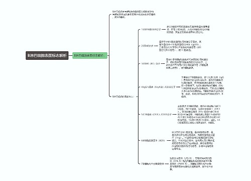 B淋巴细胞表面标志解析