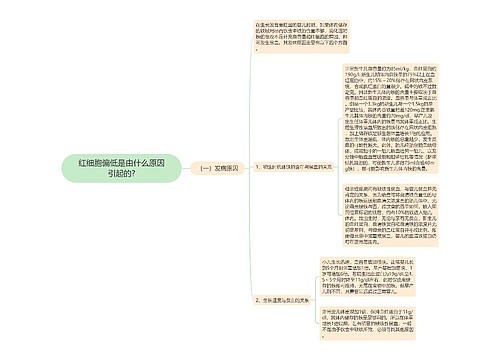 红细胞偏低是由什么原因引起的?