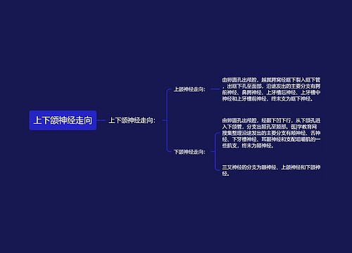 上下颌神经走向