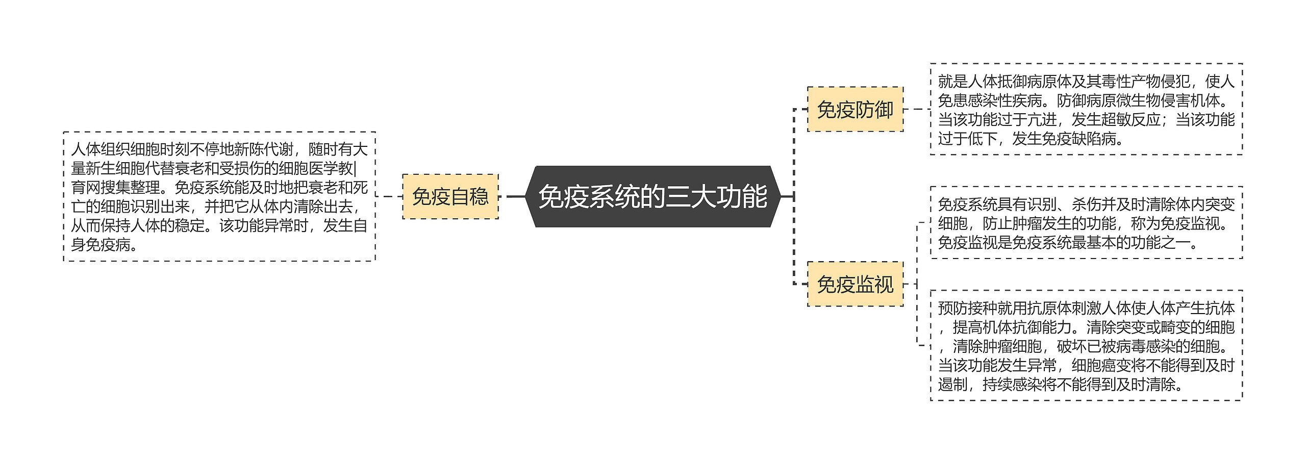 免疫系统的三大功能