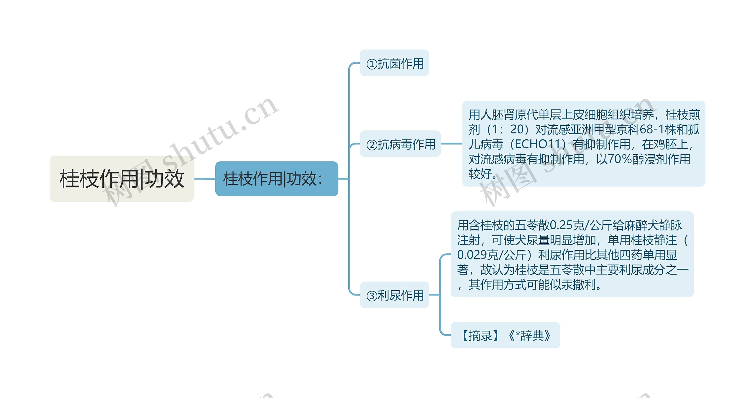 桂枝作用|功效思维导图