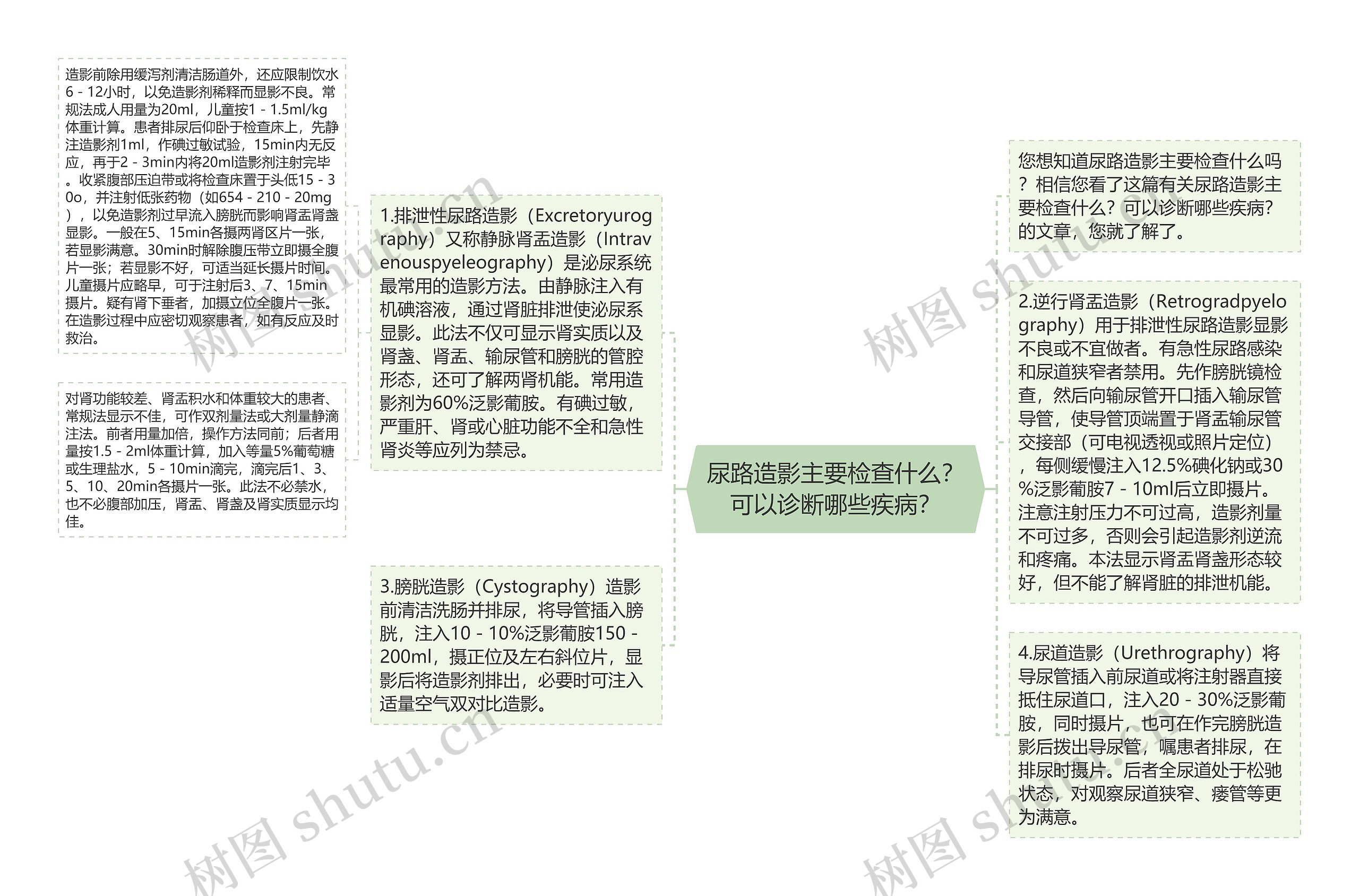 尿路造影主要检查什么？可以诊断哪些疾病？思维导图