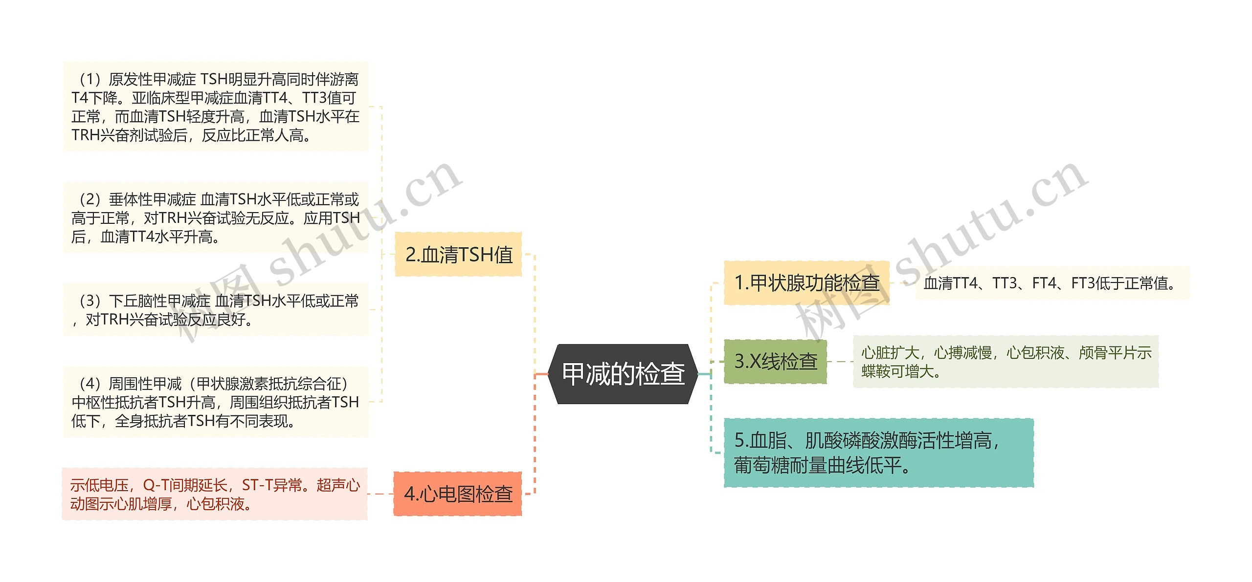 甲减的检查思维导图