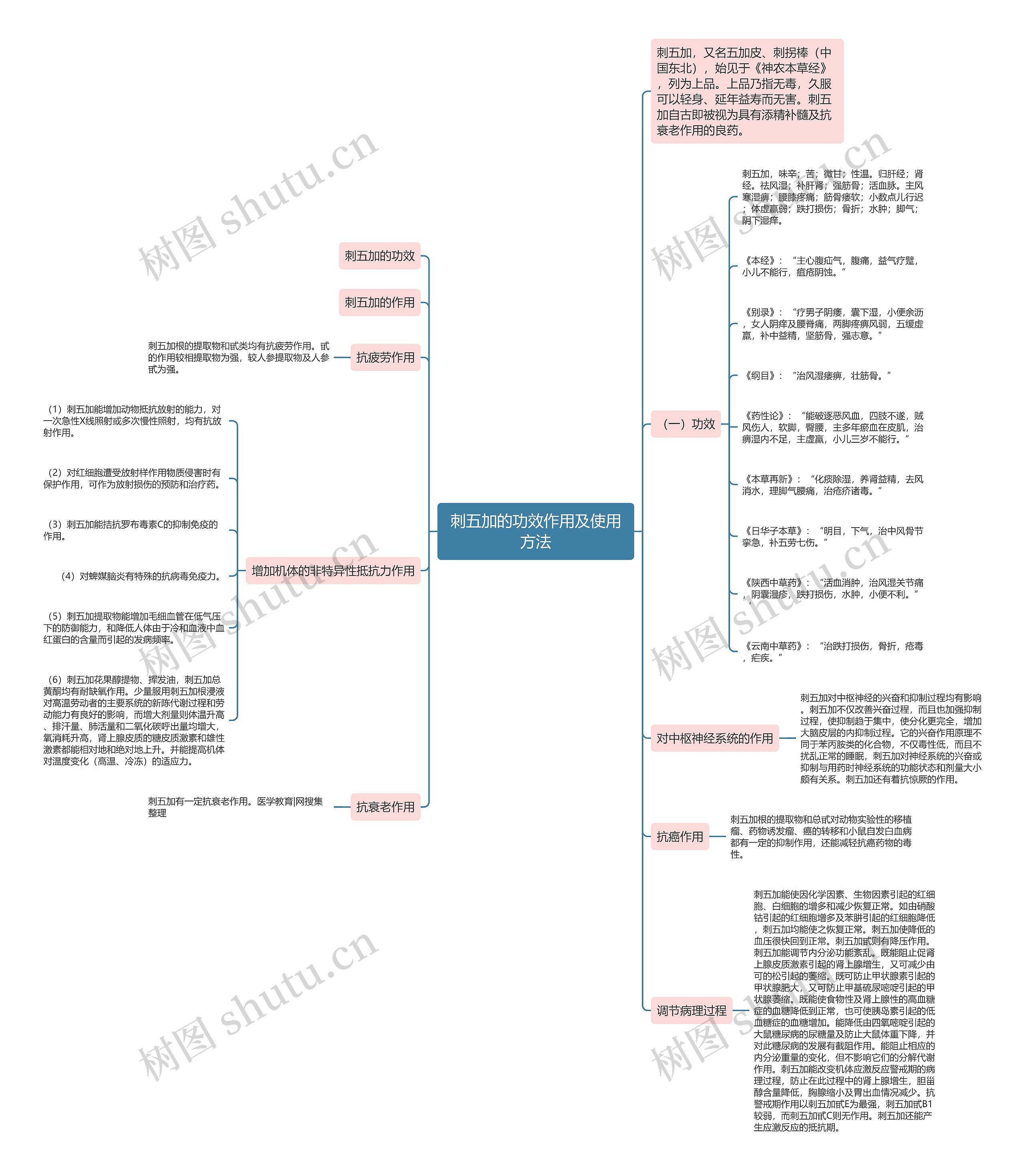 刺五加的功效作用及使用方法思维导图