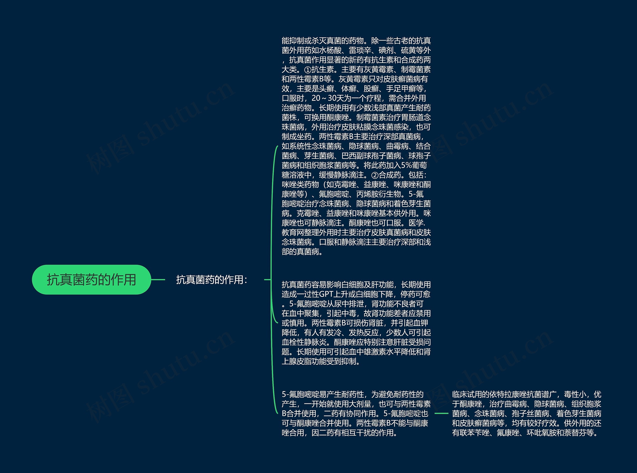 抗真菌药的作用思维导图