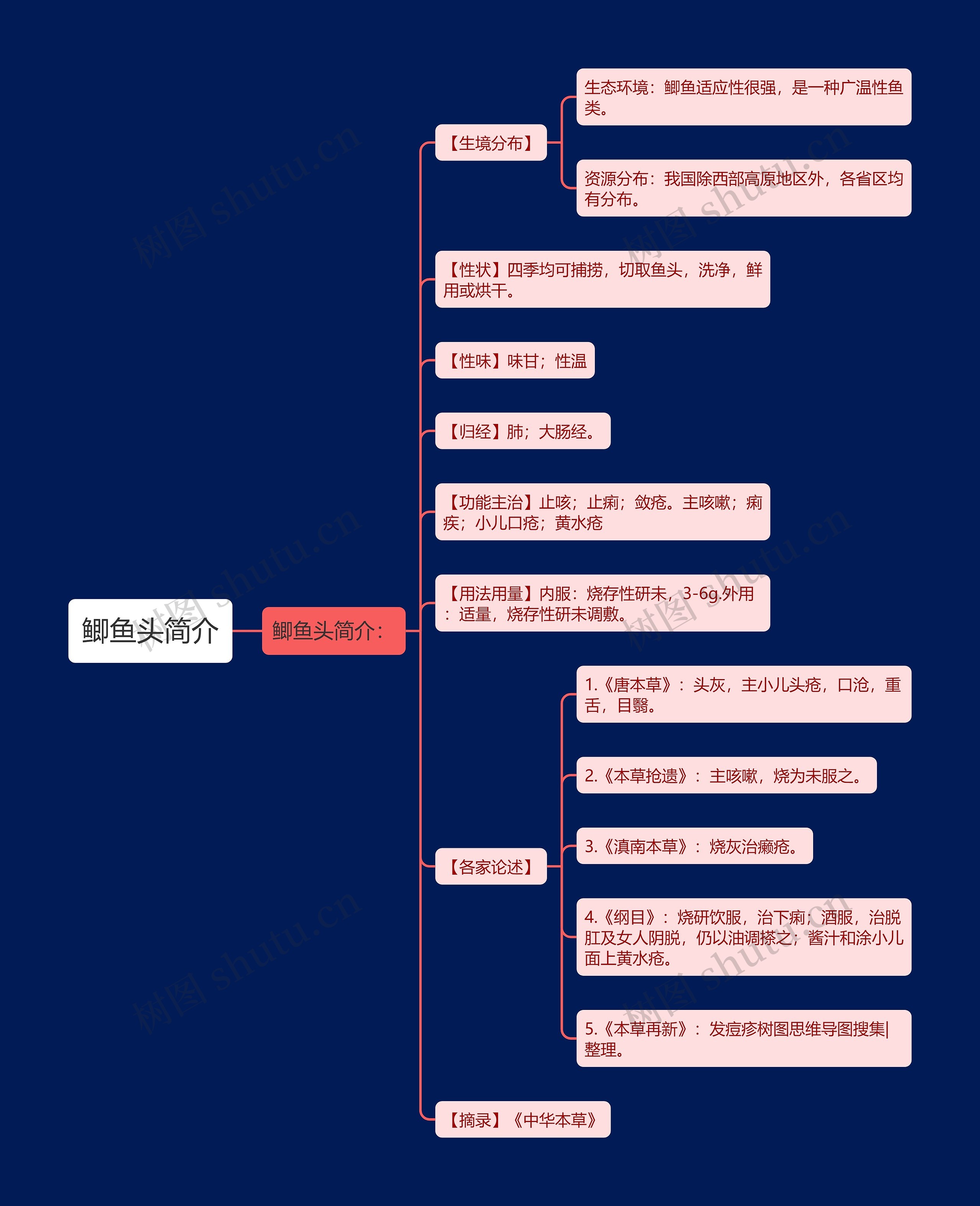 鲫鱼头简介思维导图