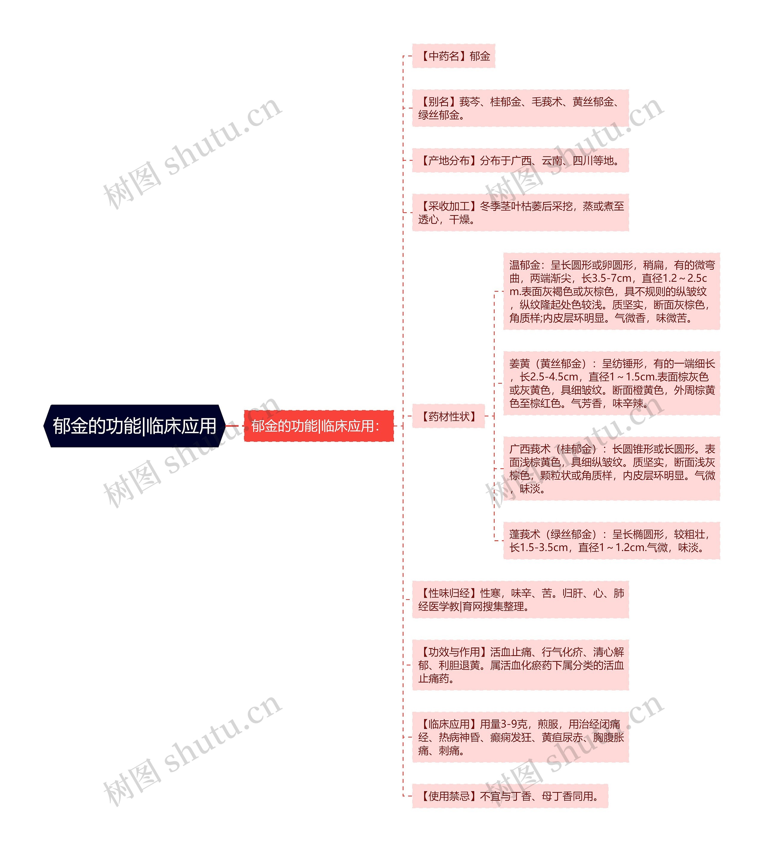 郁金的功能|临床应用思维导图