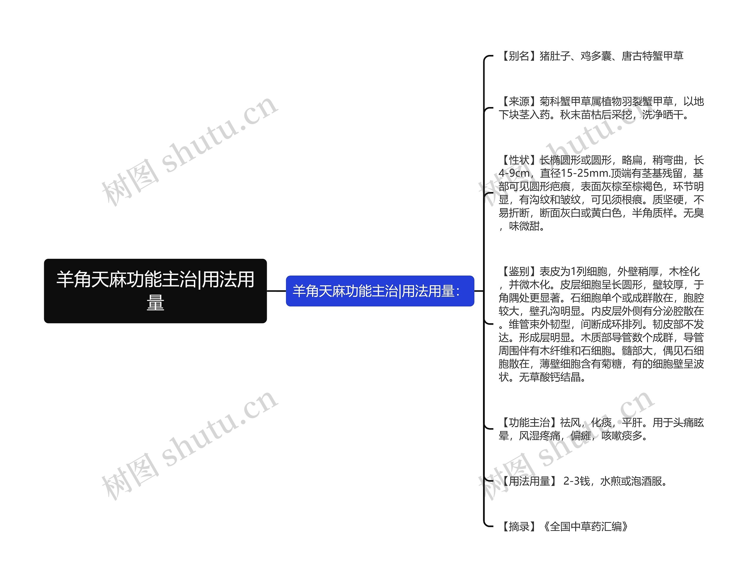 羊角天麻功能主治|用法用量思维导图