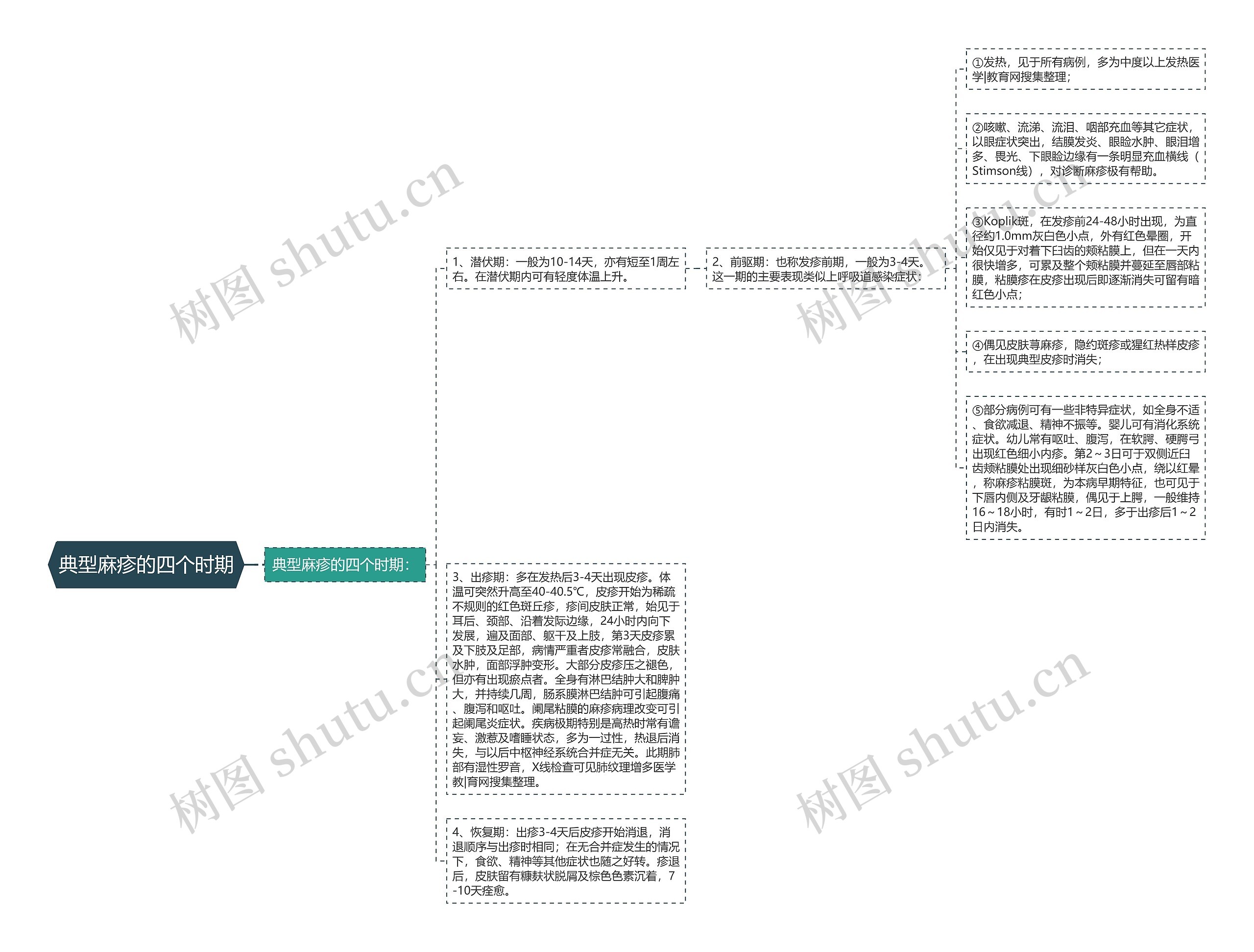 典型麻疹的四个时期思维导图