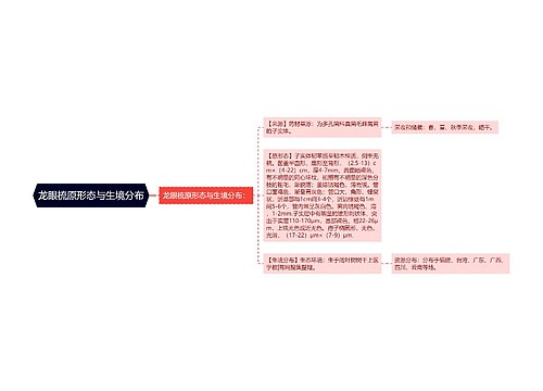 龙眼梳原形态与生境分布