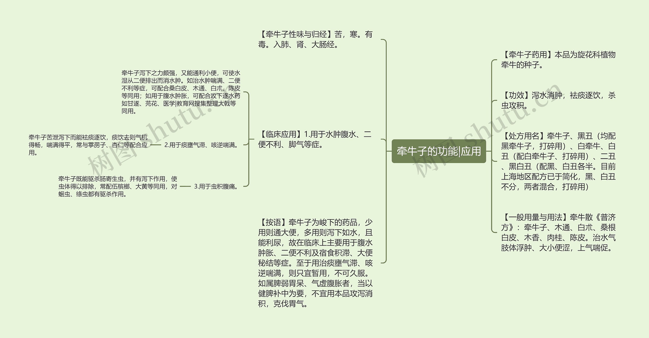 牵牛子的功能|应用思维导图