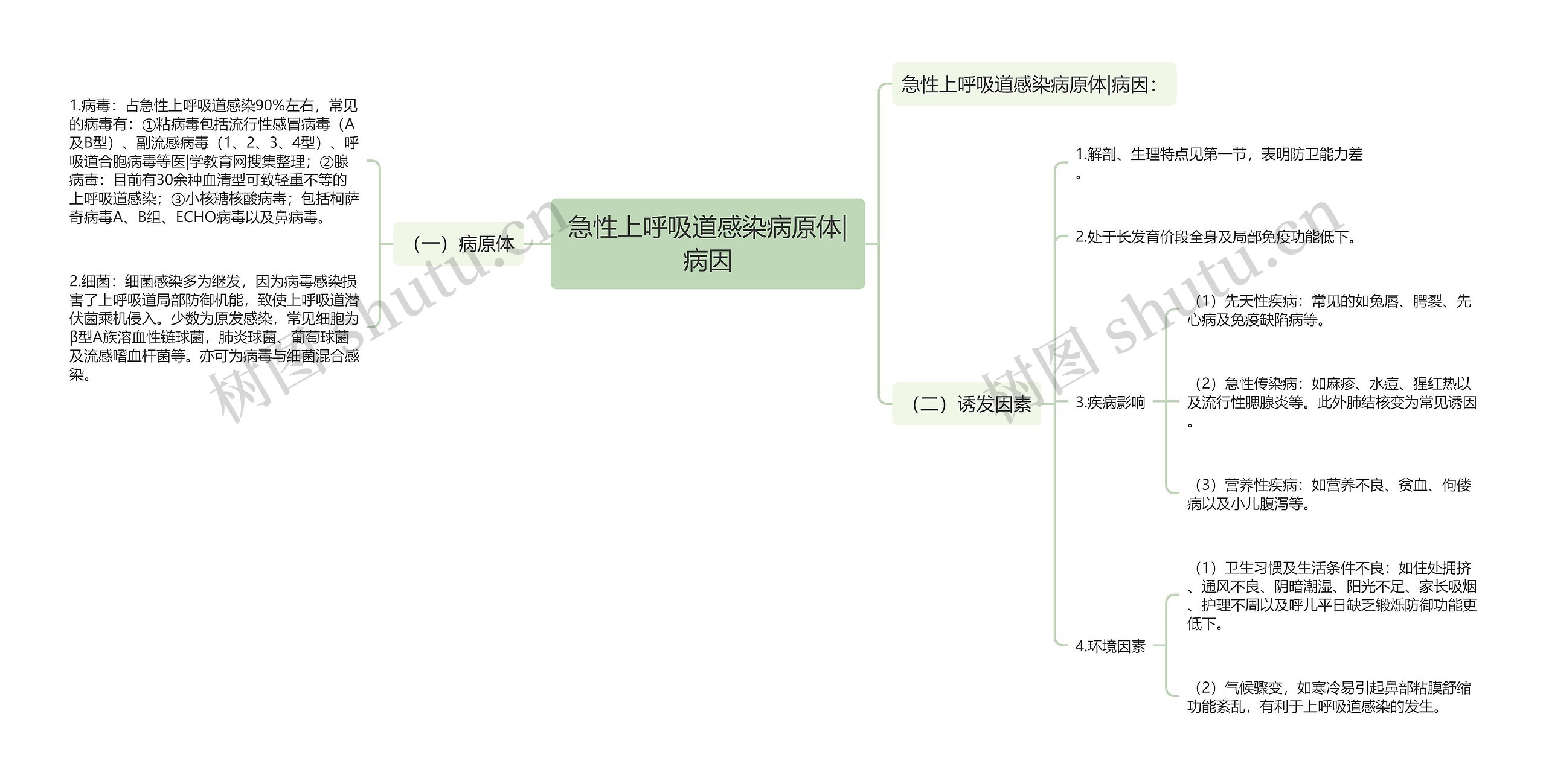 急性上呼吸道感染病原体|病因思维导图