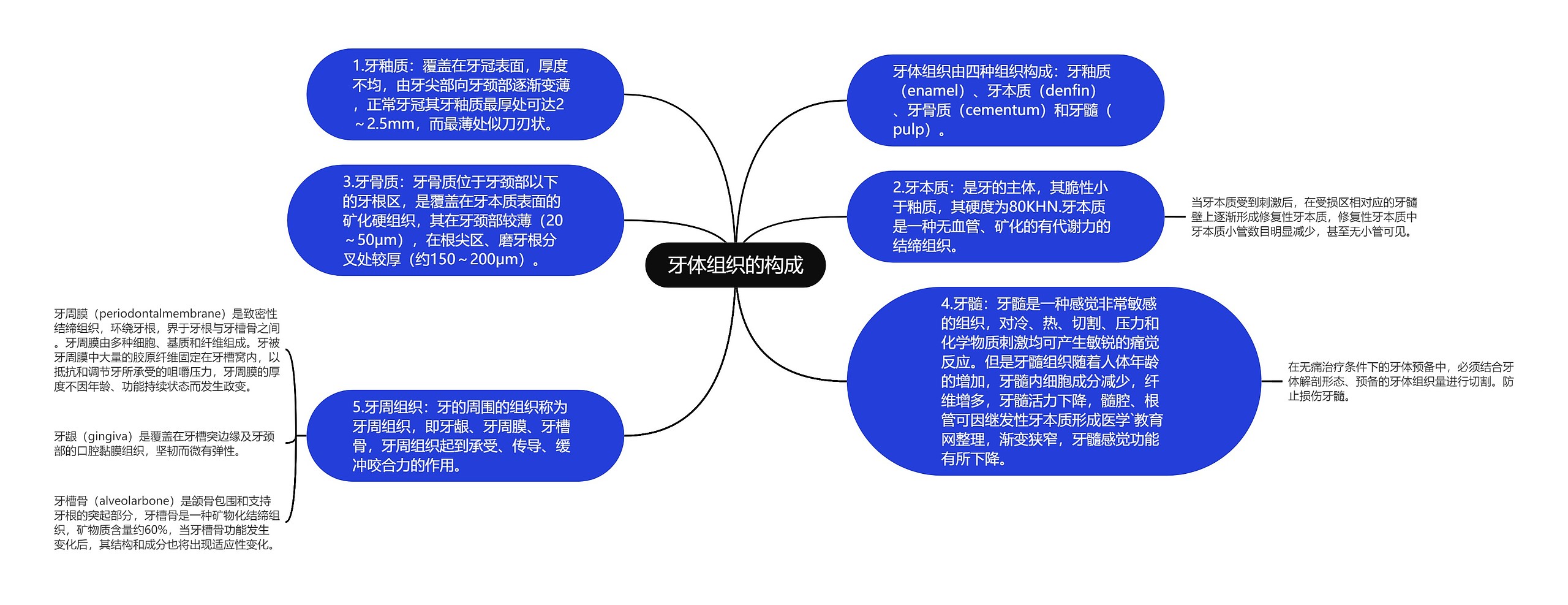 牙体组织的构成思维导图