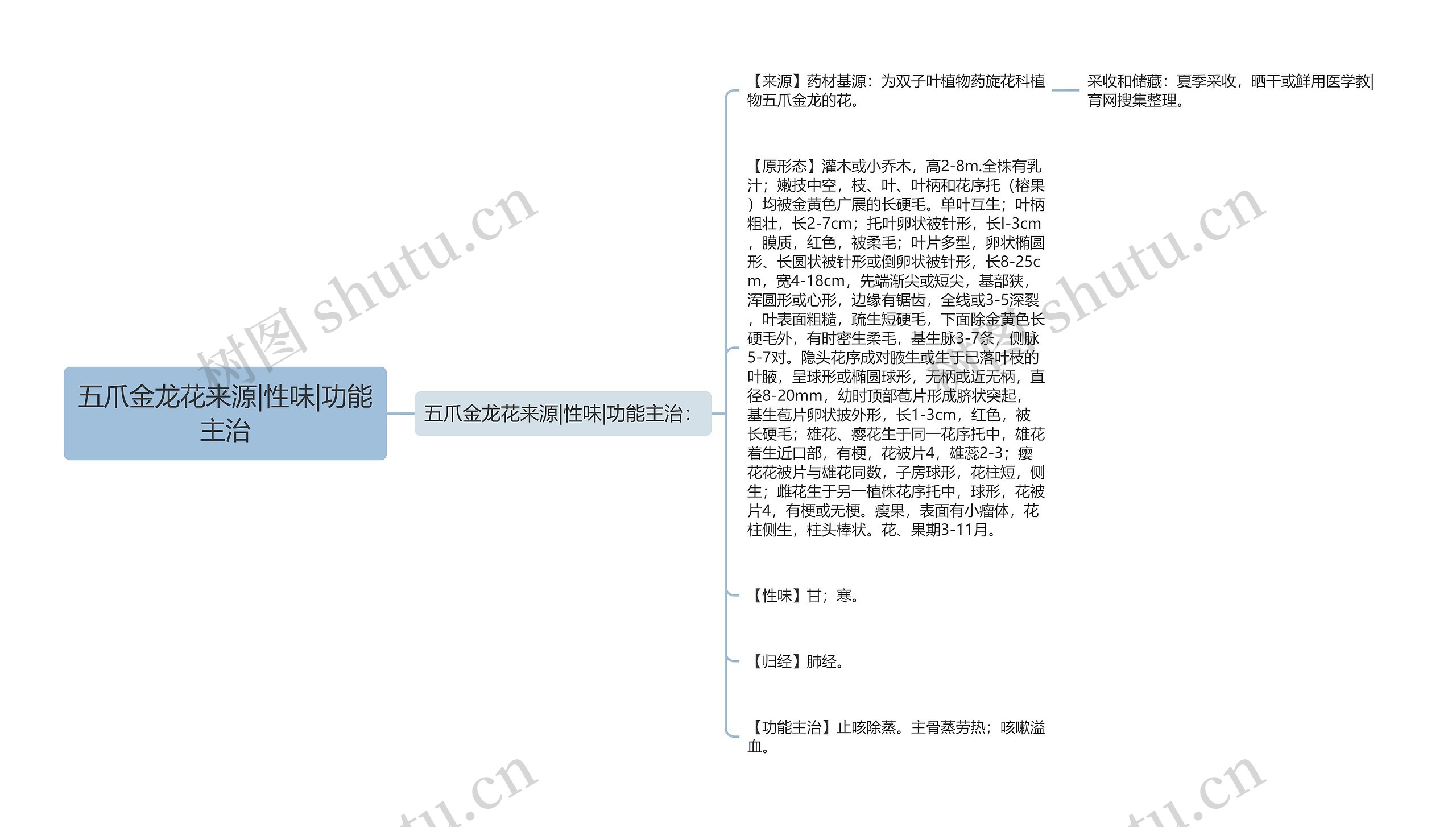 五爪金龙花来源|性味|功能主治 五爪金龙花来源|性味|功能主治