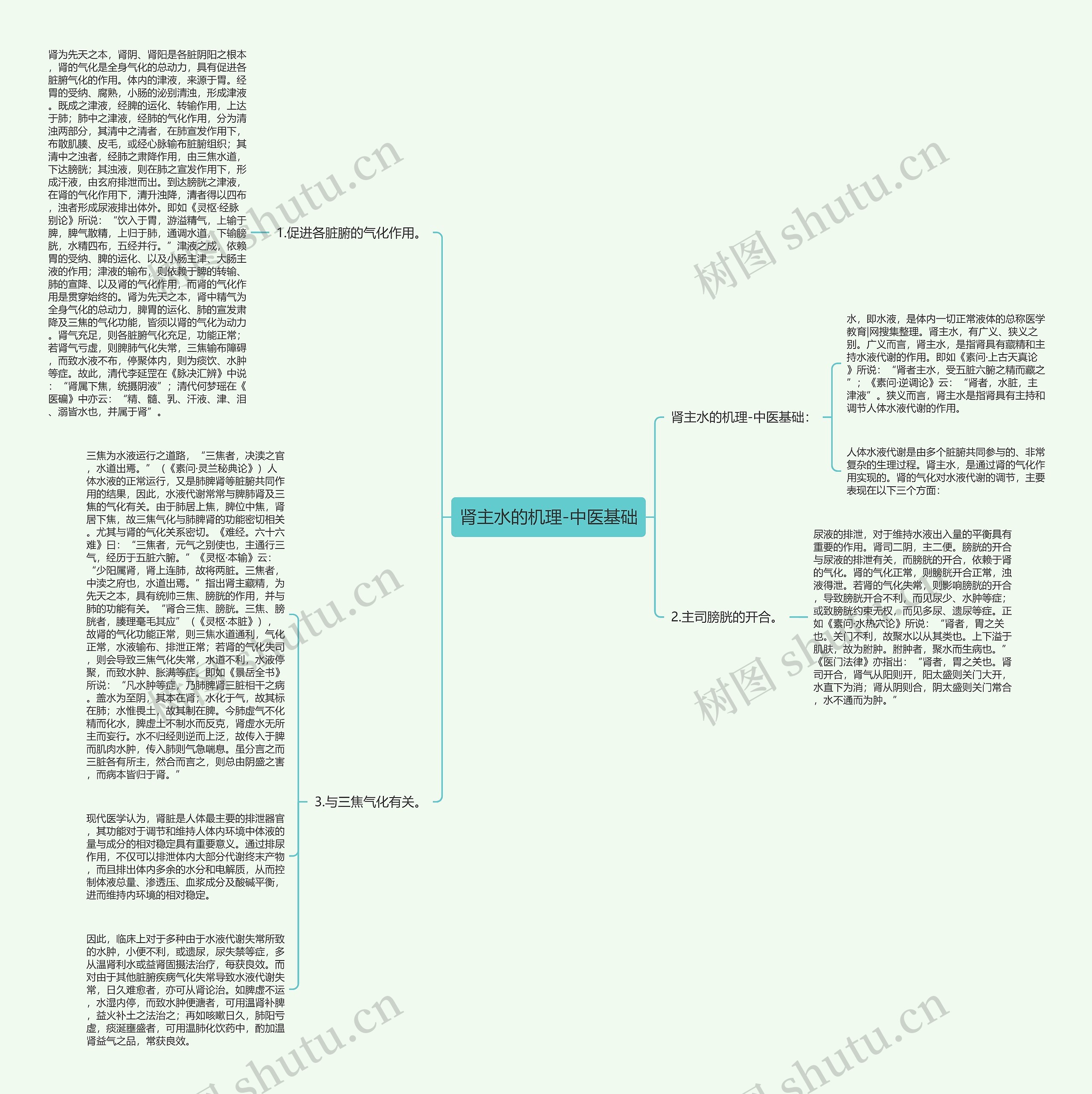 肾主水的机理-中医基础 肾主水的机理-中医基础