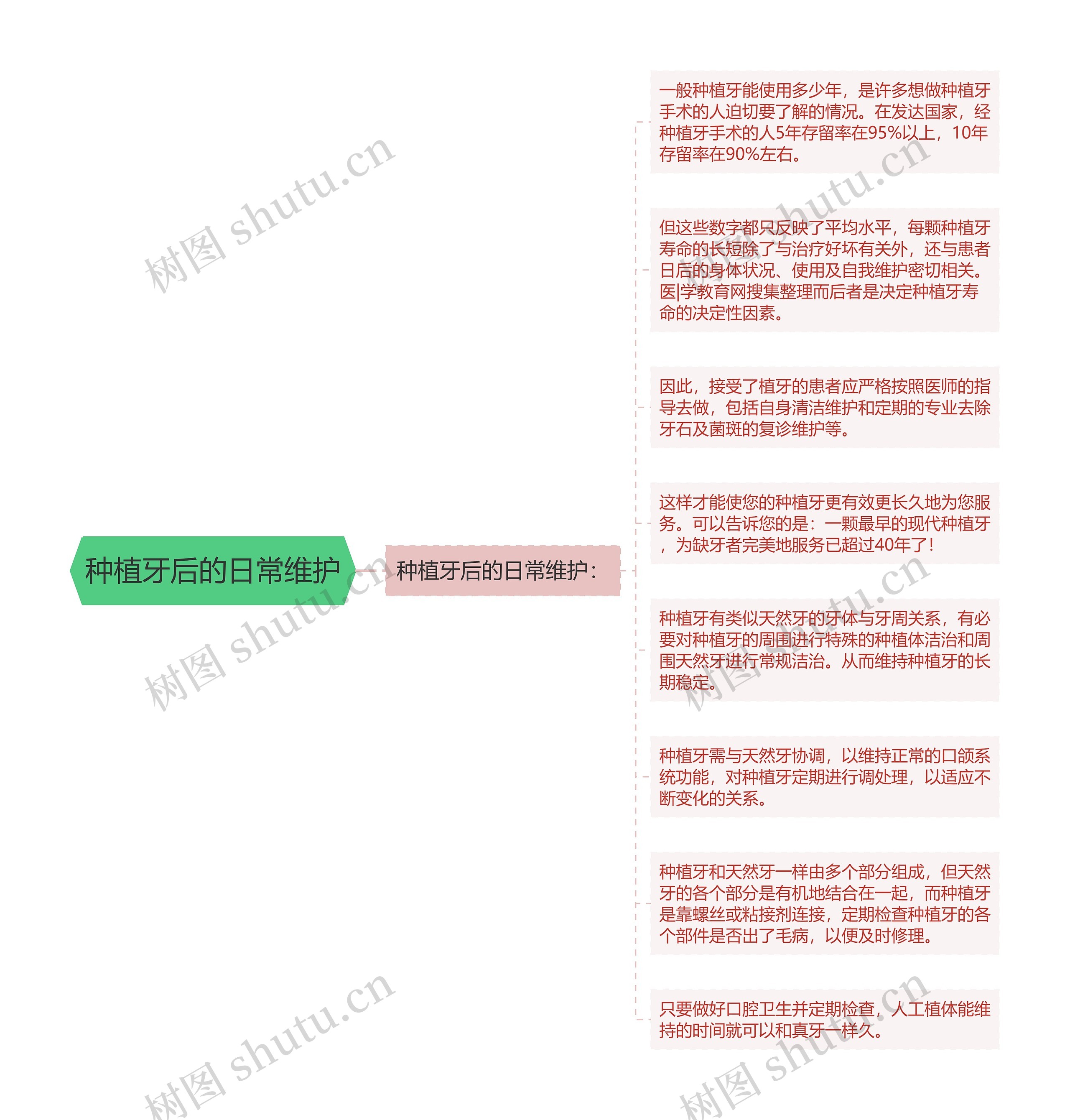 种植牙后的日常维护思维导图