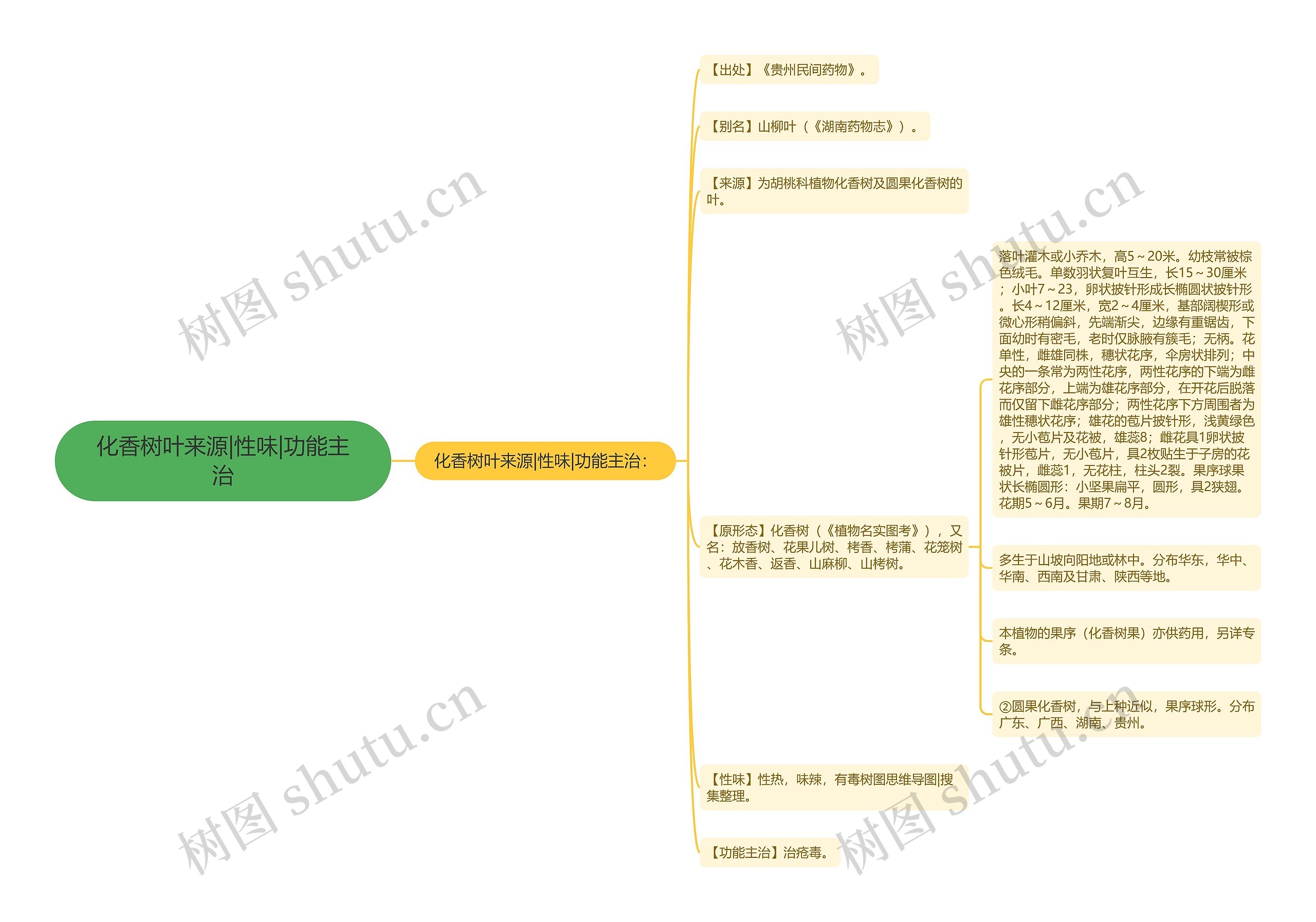 化香树叶来源|性味|功能主治思维导图