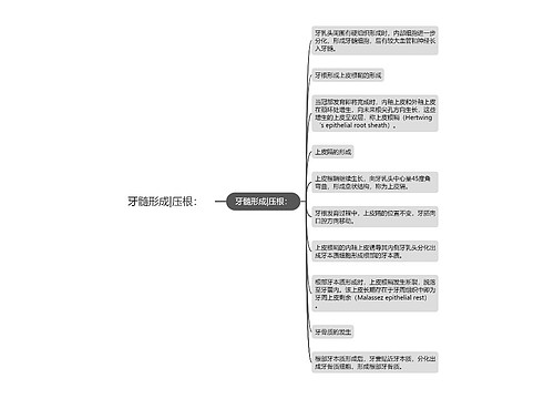 牙髓形成|压根：