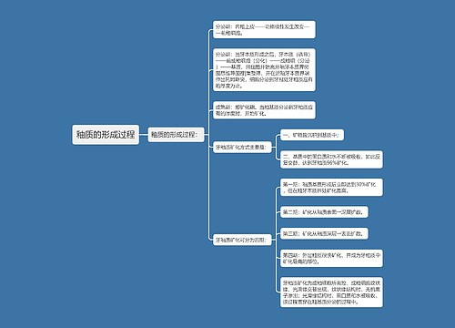 釉质的形成过程