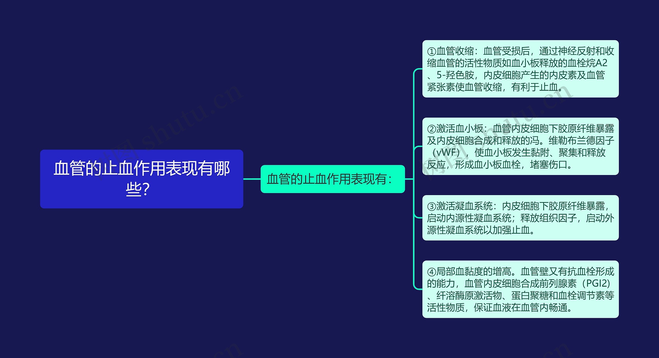 血管的止血作用表现有哪些？