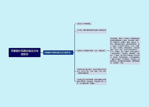 可爱复叶耳蕨功能主治与原形态