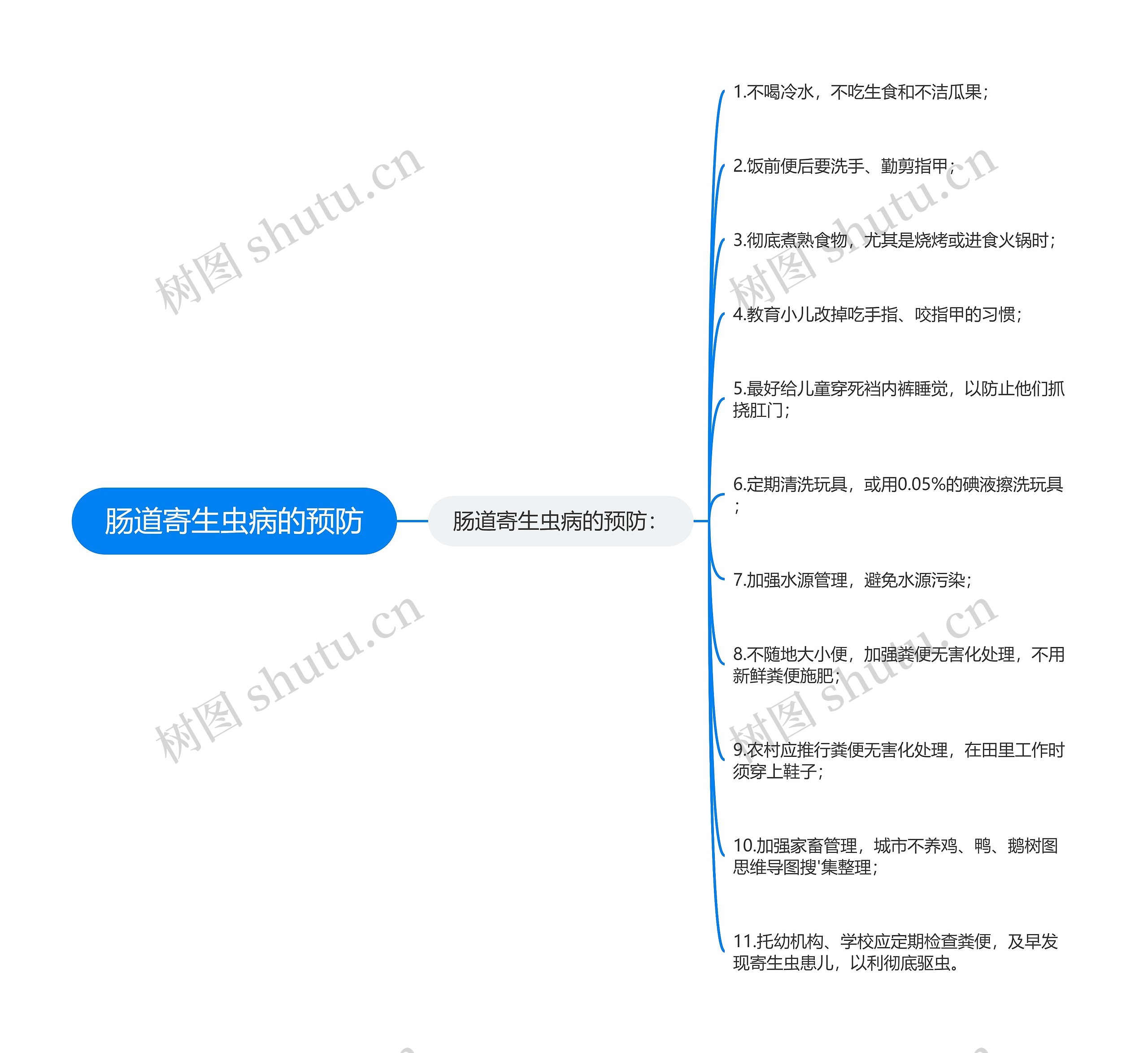 肠道寄生虫病的预防思维导图