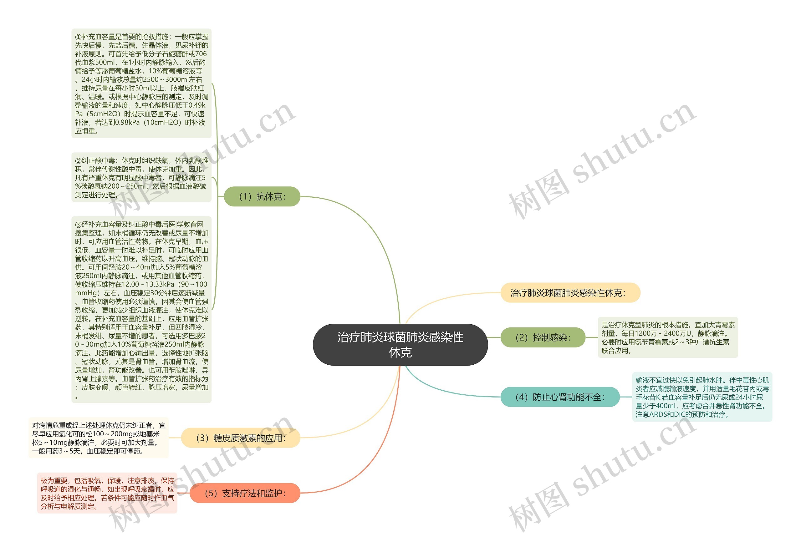 治疗肺炎球菌肺炎感染性休克思维导图