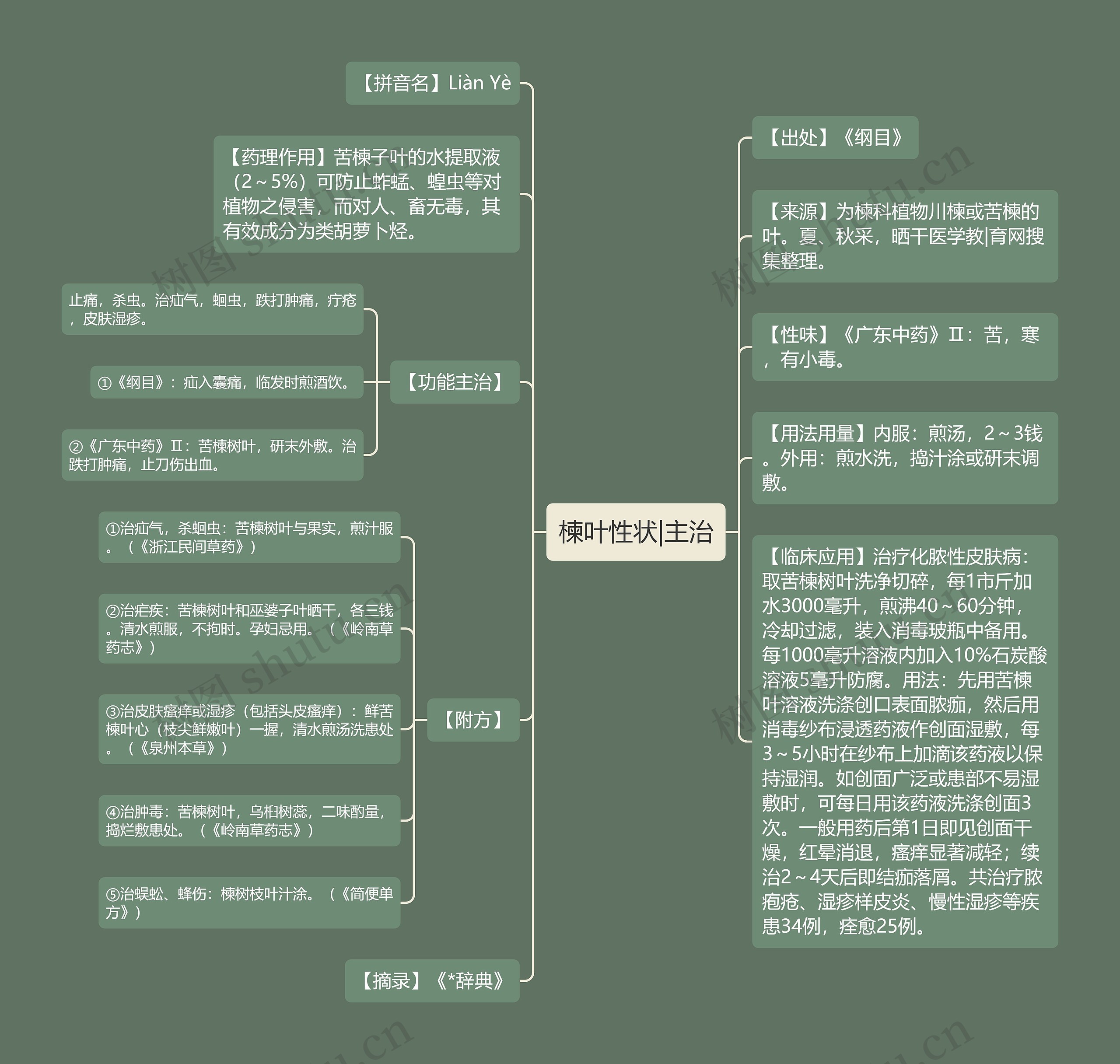 楝叶性状|主治思维导图