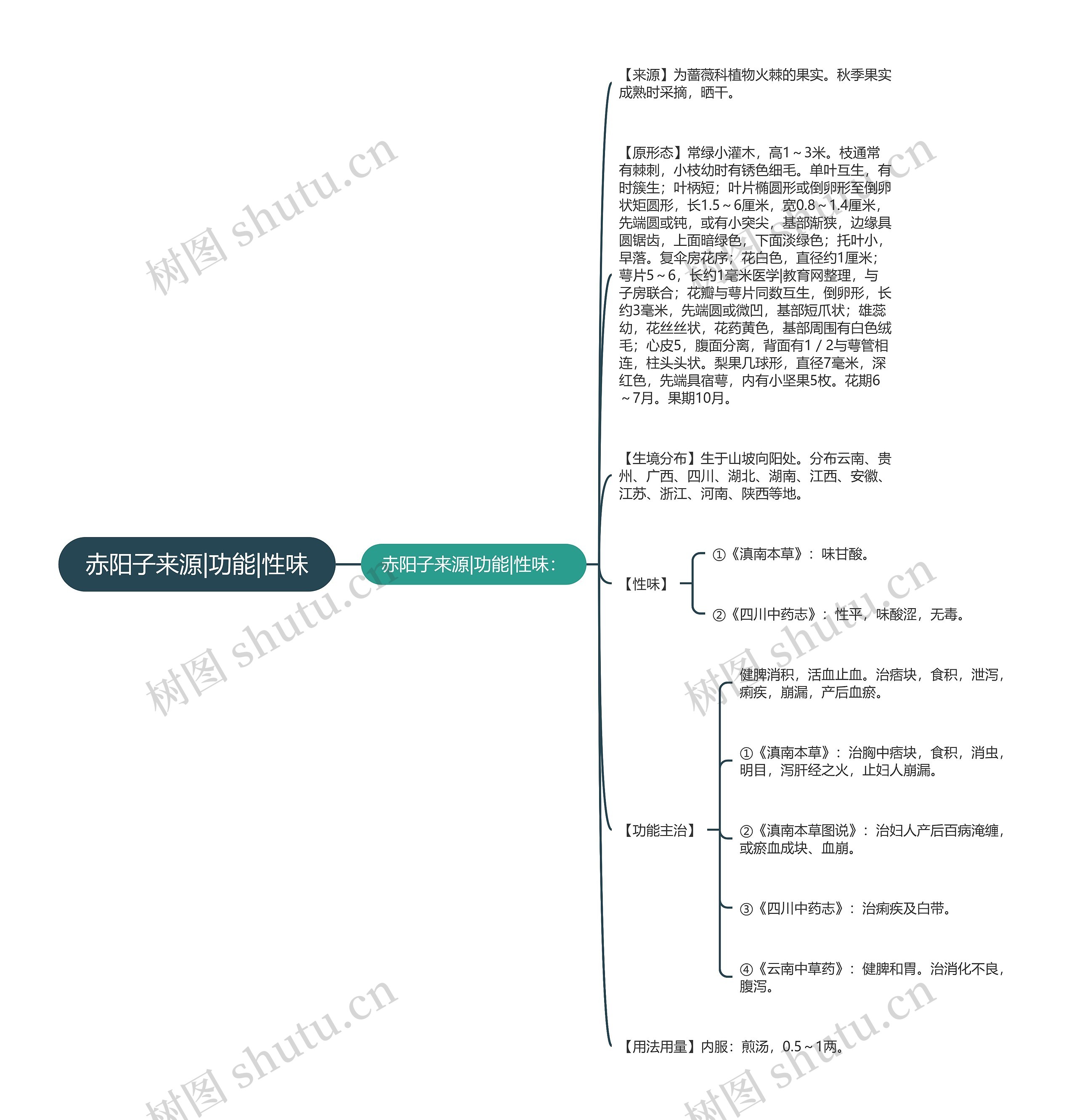 赤阳子来源|功能|性味思维导图