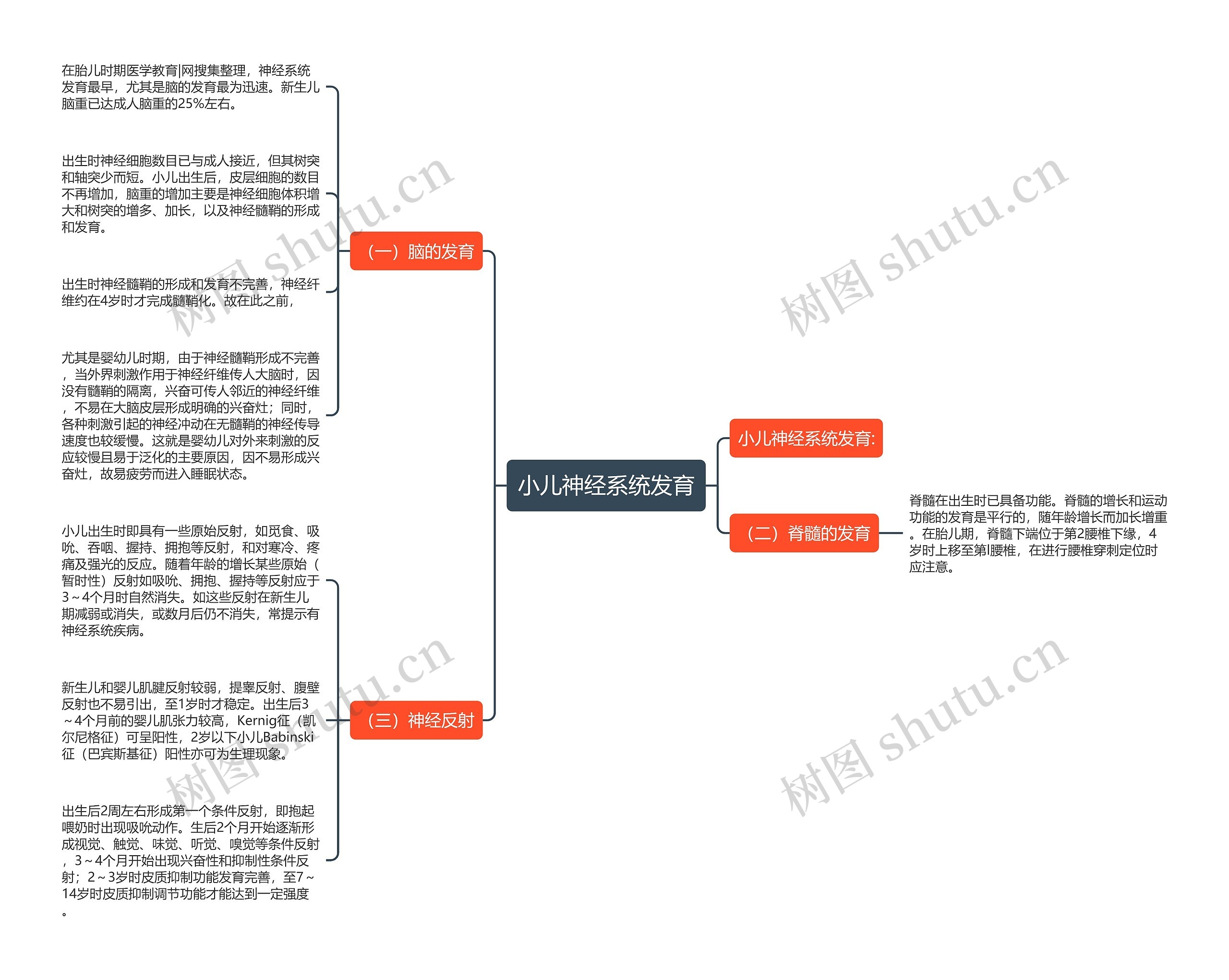 小儿神经系统发育