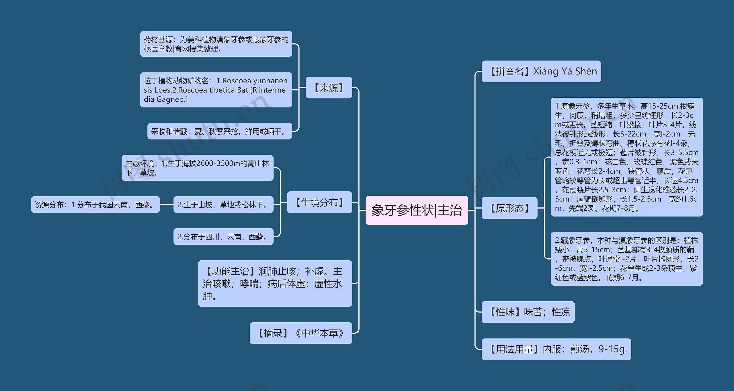 象牙参性状|主治思维导图