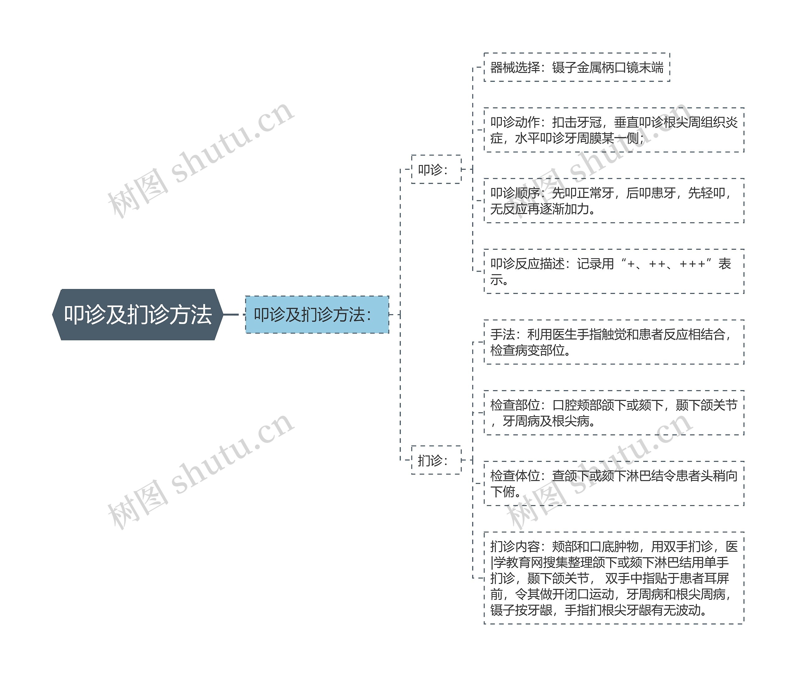 叩诊及扪诊方法