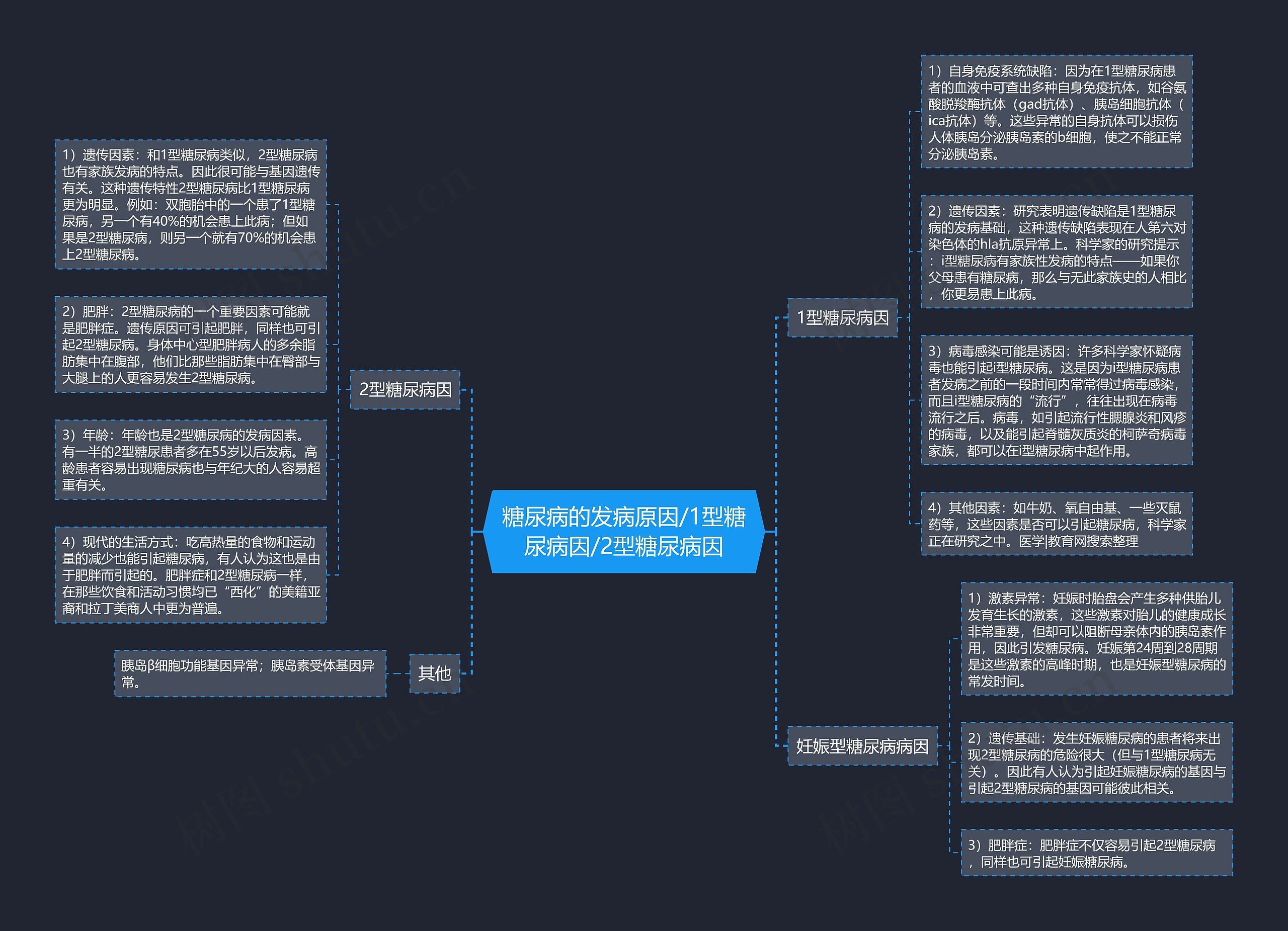 糖尿病的发病原因/1型糖尿病因/2型糖尿病因思维导图