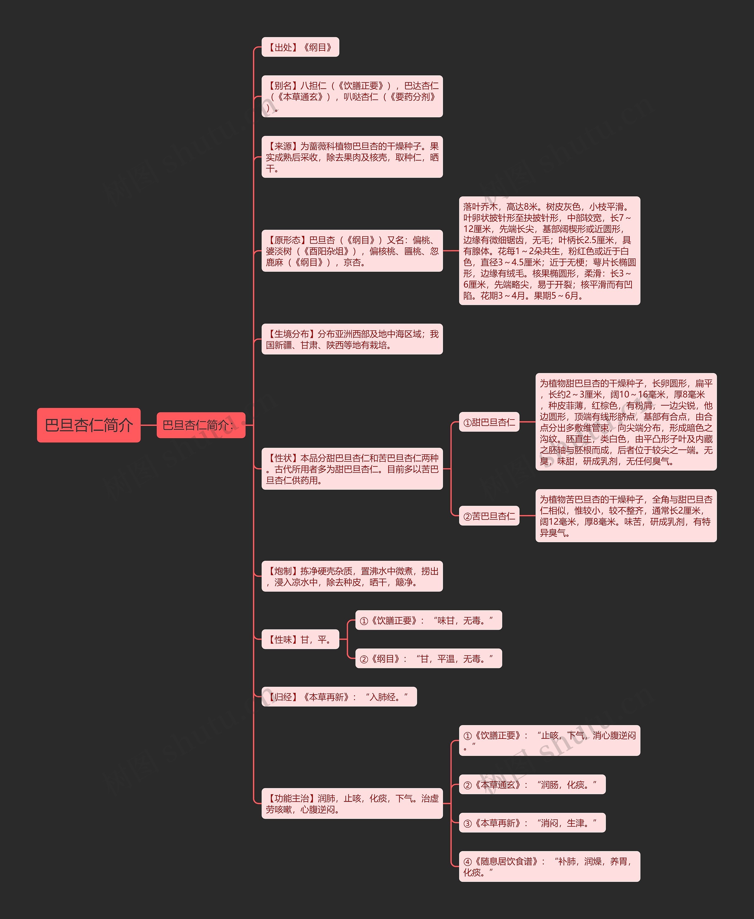 巴旦杏仁简介思维导图高清图 巴旦杏仁简介思维导图