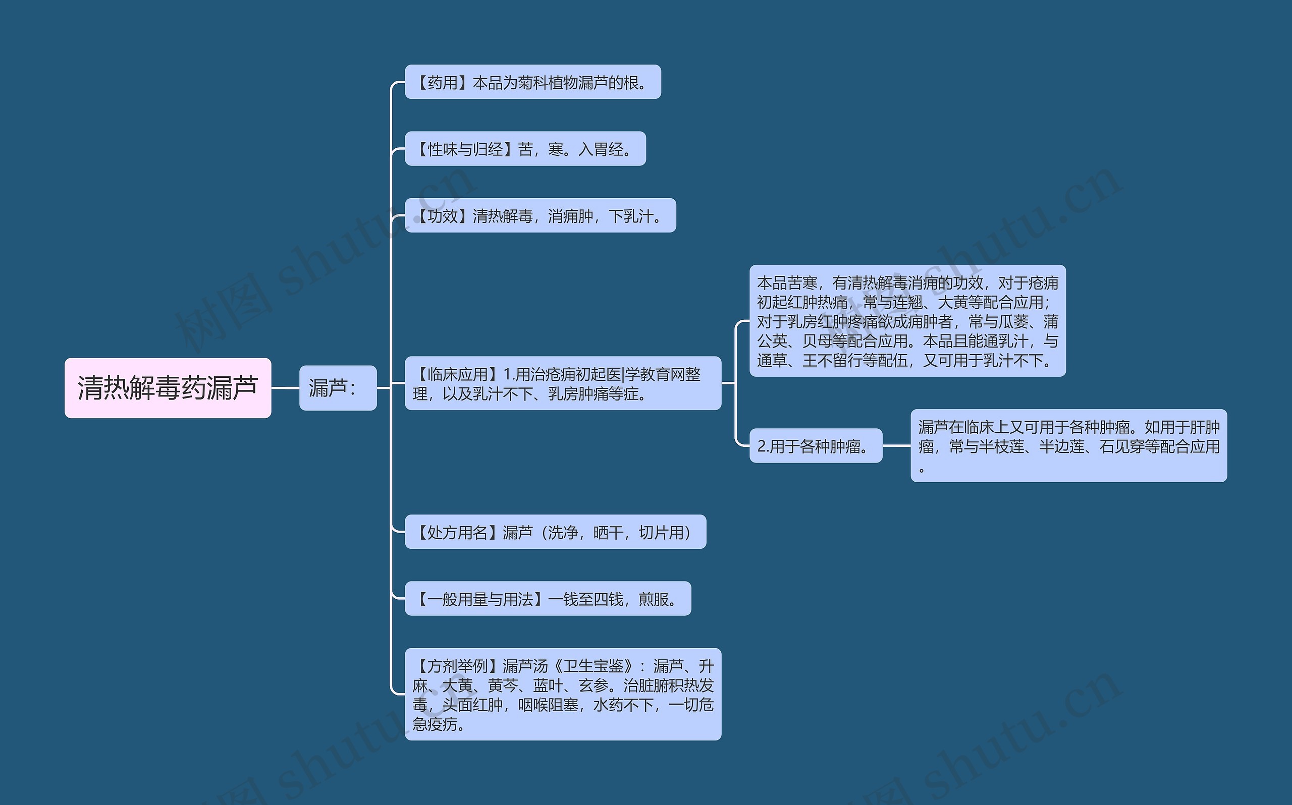 清热解毒药漏芦思维导图