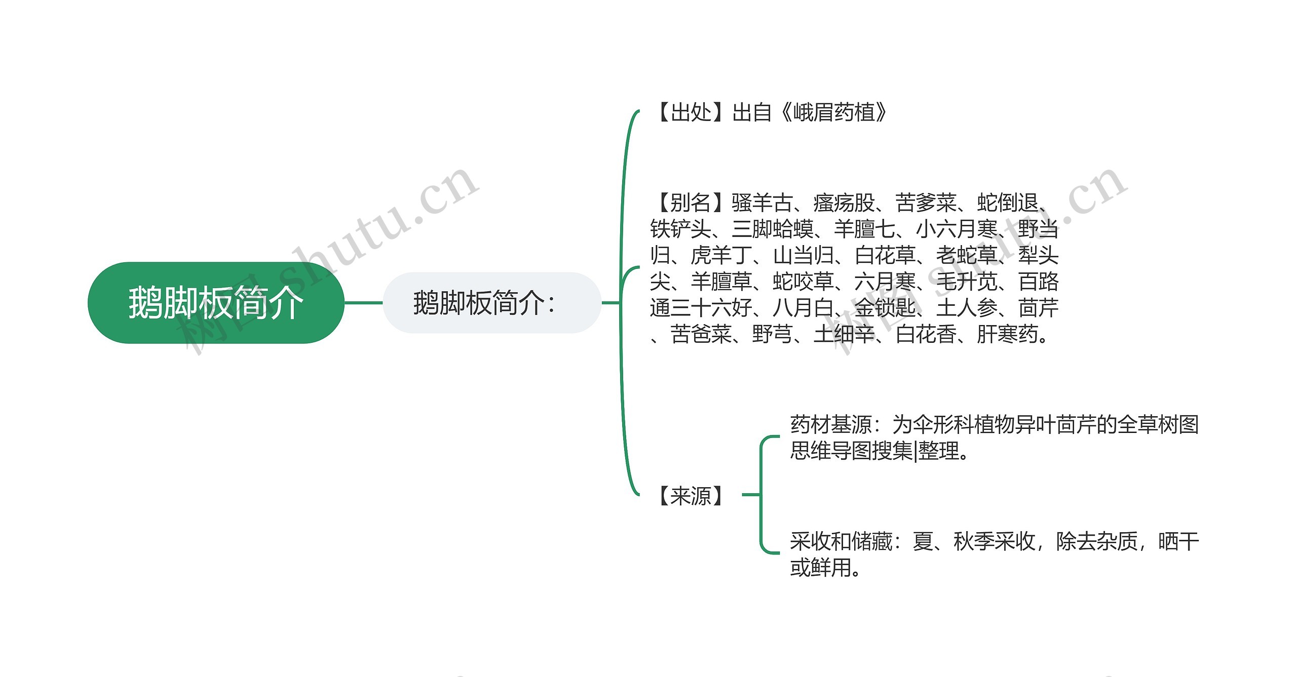 鹅脚板简介
