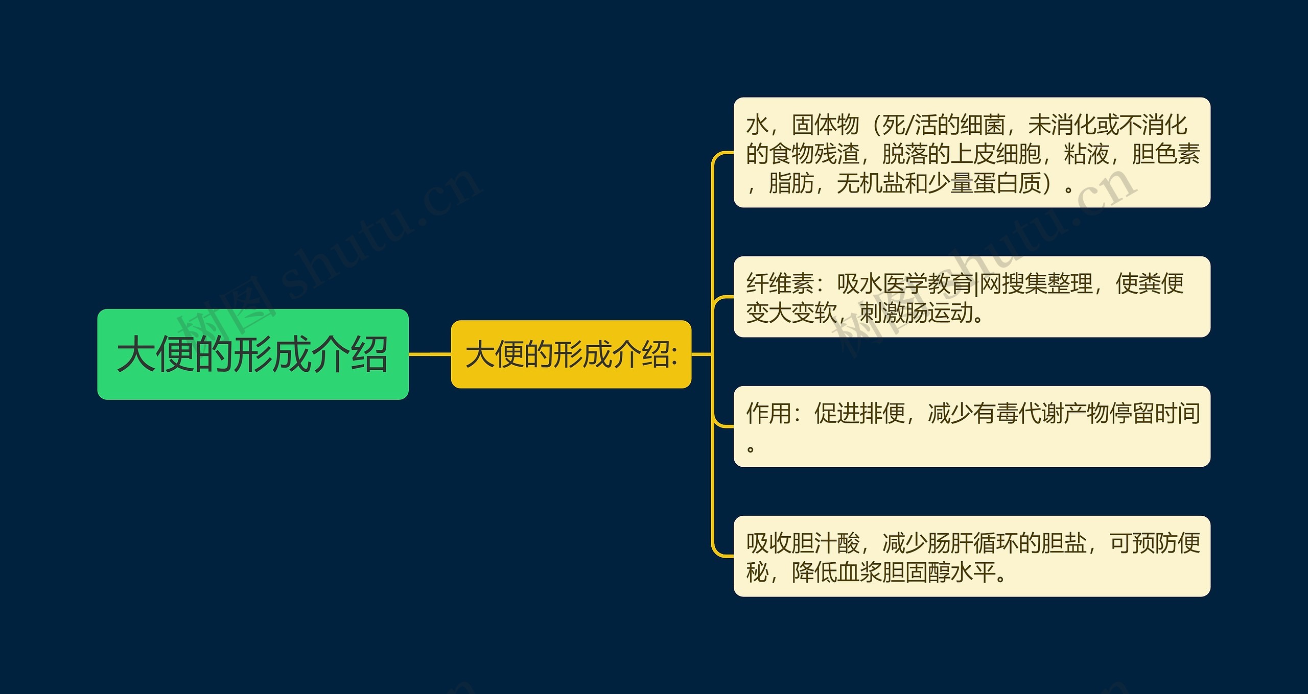 大便的形成介绍思维导图