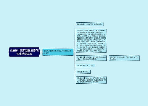 山油柑叶原形态|生境分布|性味|功能主治