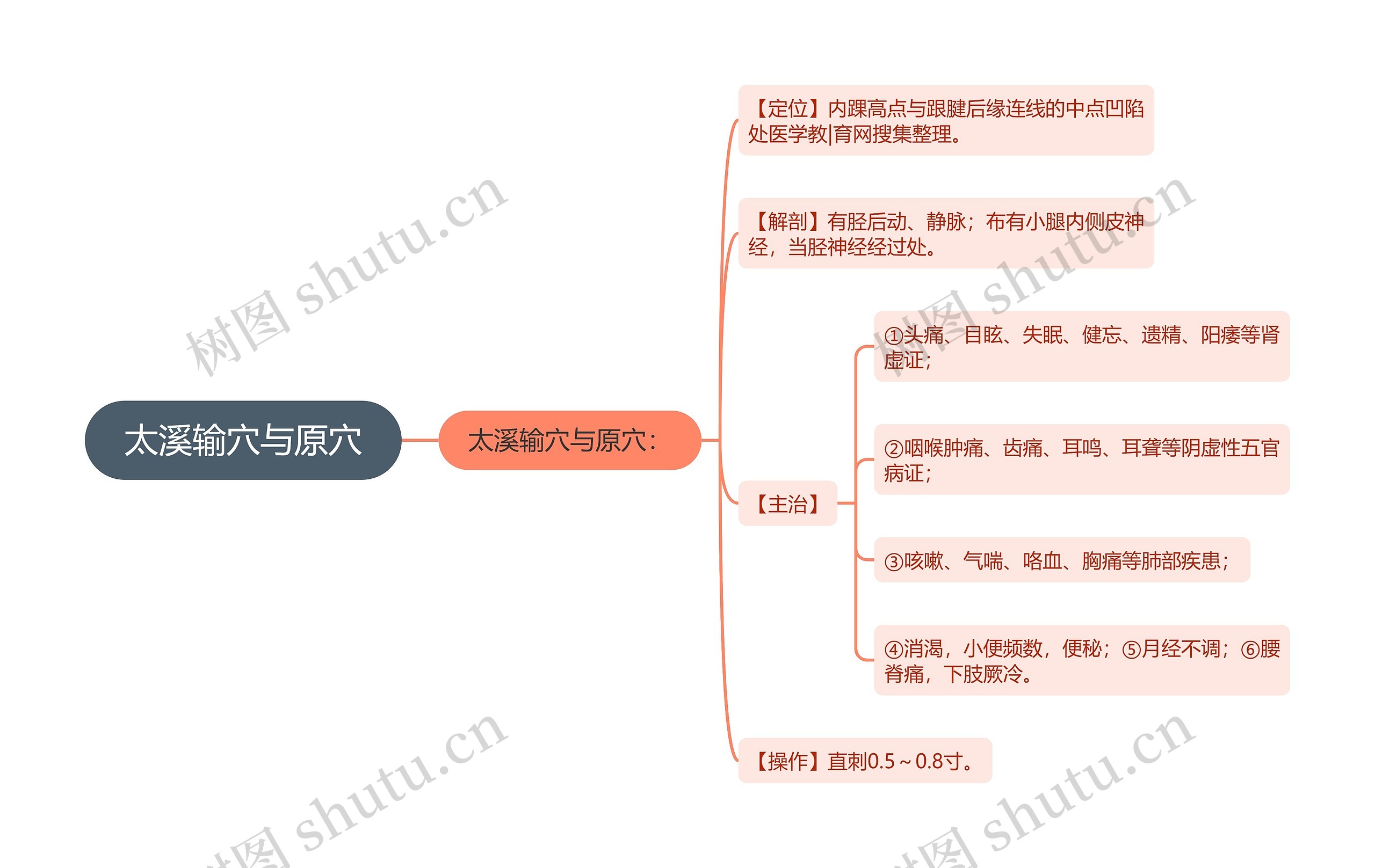 太溪输穴与原穴思维导图