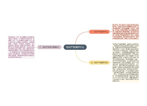 知识产权保护什么