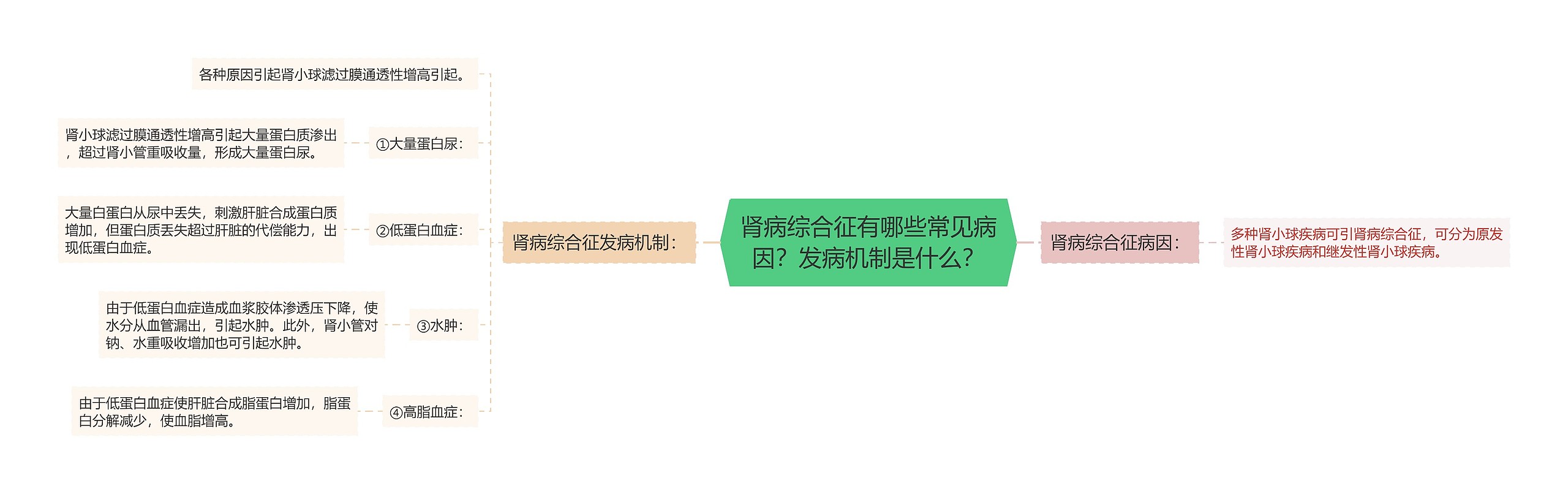 肾病综合征有哪些常见病因？发病机制是什么？思维导图