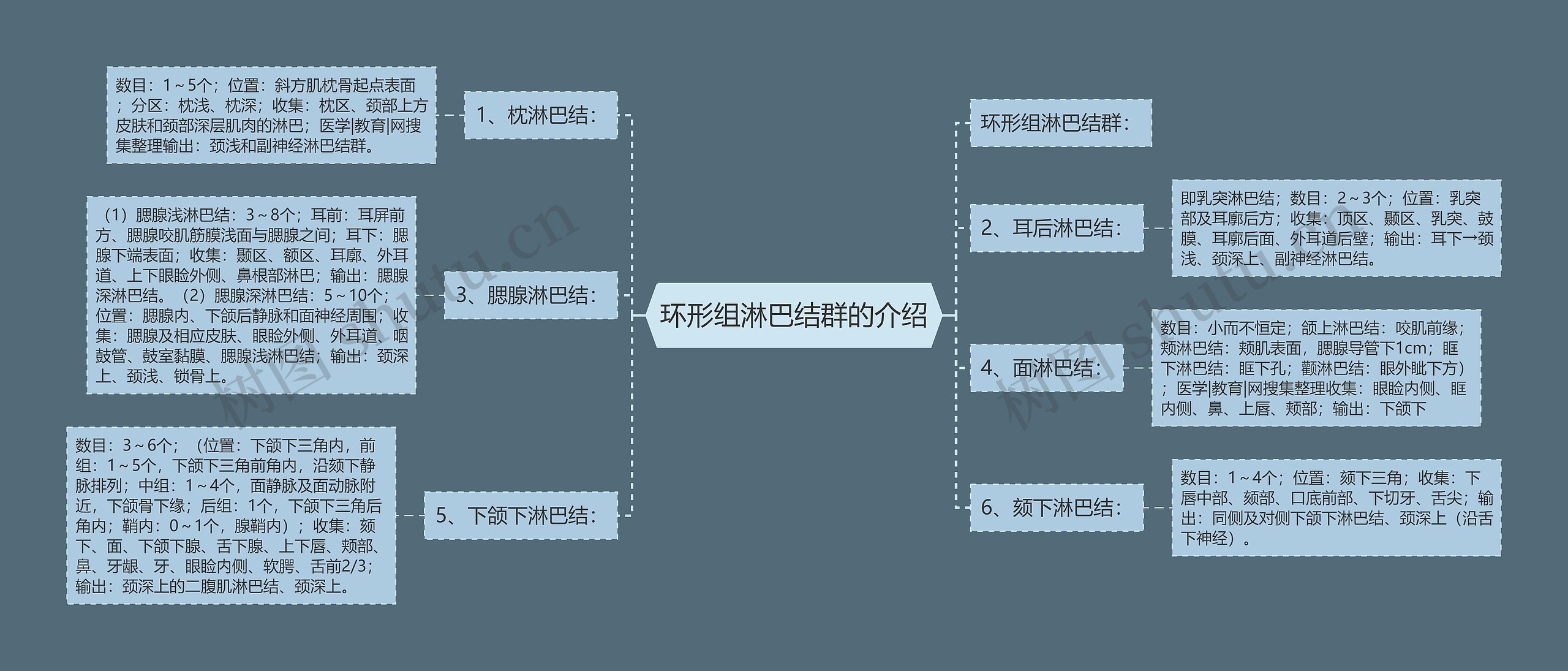 环形组淋巴结群的介绍思维导图