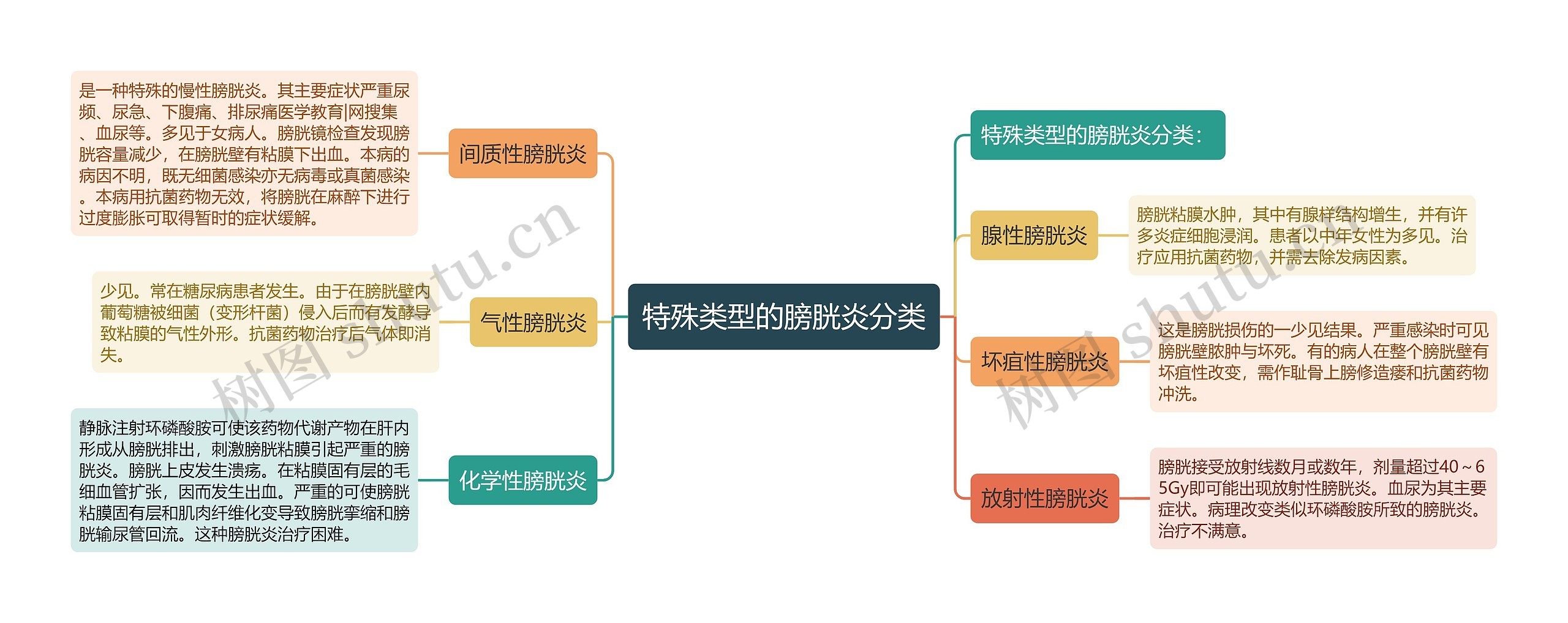 特殊类型的膀胱炎分类思维导图