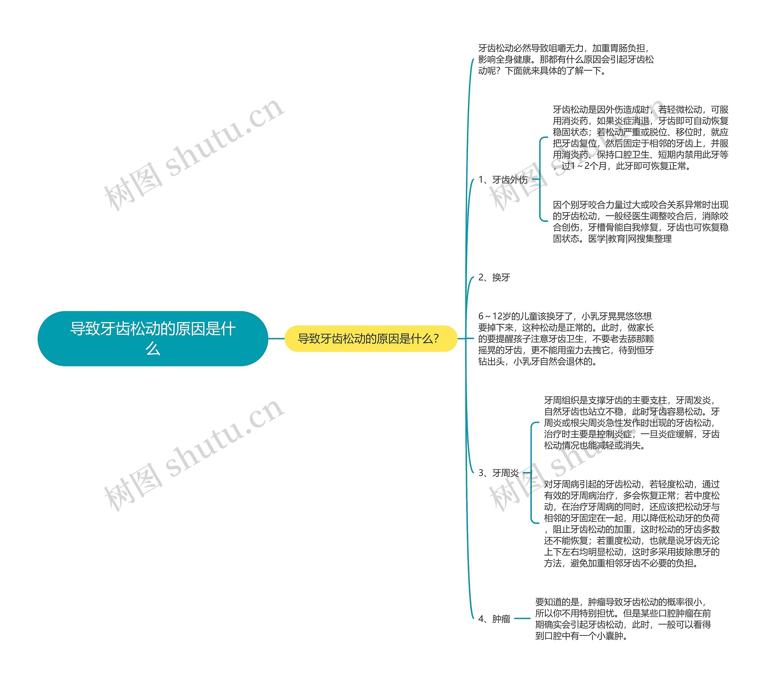导致牙齿松动的原因是什么 导致牙齿松动的原因是什么